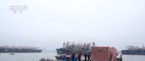 周邊產品與出境游雙輪驅動，端午經濟呈現多元新態勢